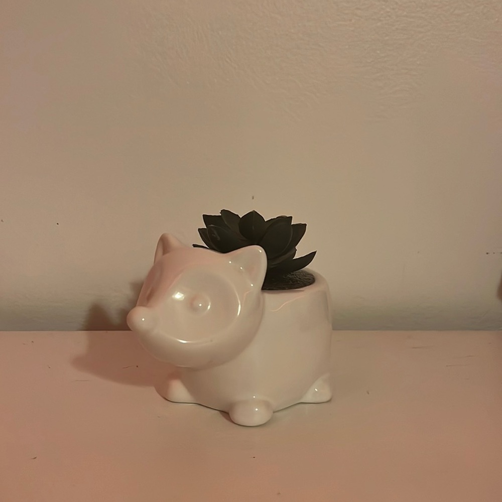 raccoon fake plant